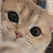 https://notafiles.ru/images/gif/1/058.gif