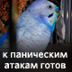https://notafiles.ru/images/png/jaoral/10.png