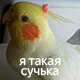 https://notafiles.ru/images/png/jaoral/11.png