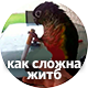 https://notafiles.ru/images/png/jaoral/55.png